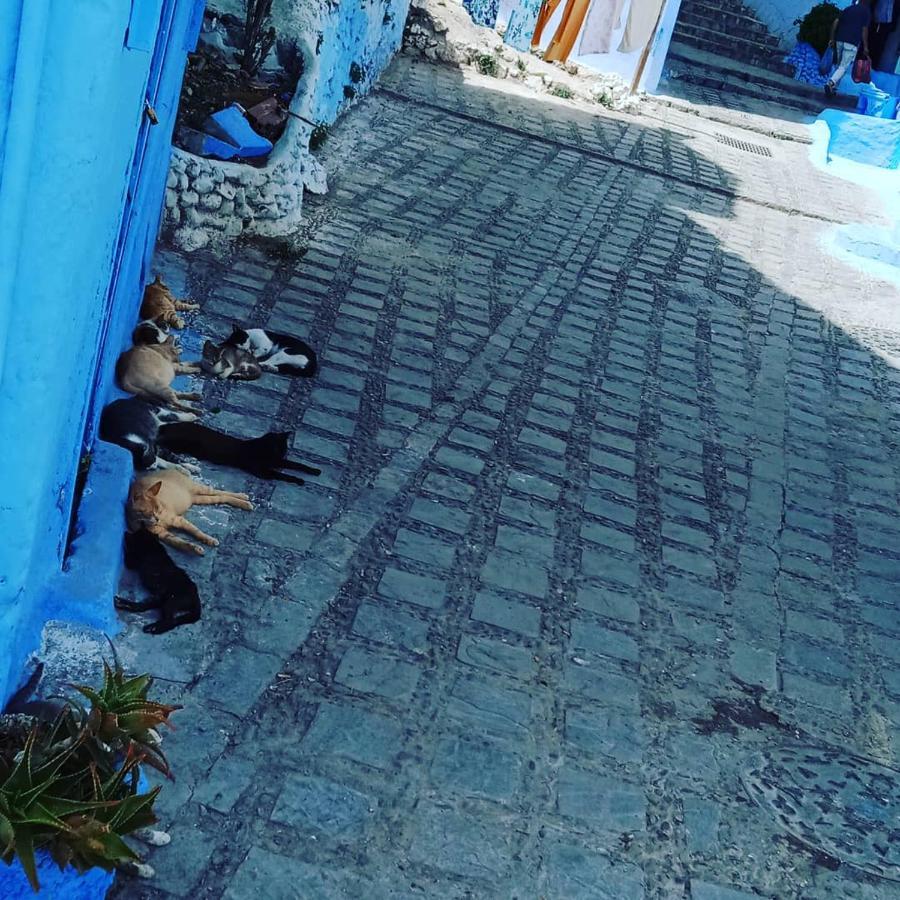 Casa Mablu Appartement Chefchaouen Buitenkant foto